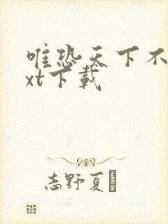 唯恐天下不乱txt下载