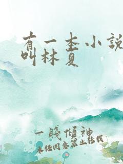 有一本小说女主叫林夏