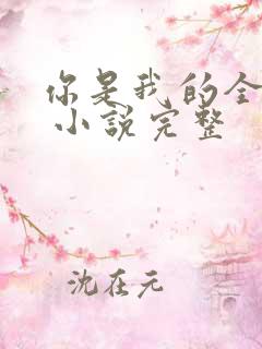 你是我的全世界 小说完整