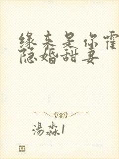 缘来是你霍少的隐婚甜妻