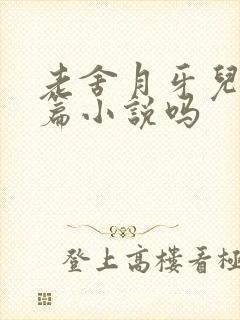 老舍月牙儿是长篇小说吗