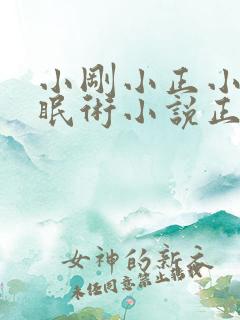 小刚小正小柔催眠术小说正版阅读
