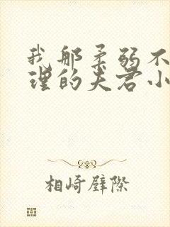 我那柔弱不能自理的夫君小说