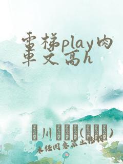 电梯play肉车文高h