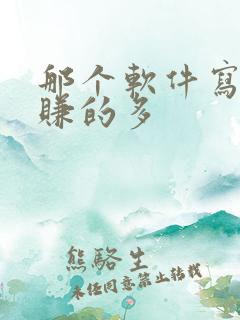 那个软件写小说赚的多