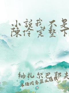 小说我不是戏神陈伶完整下载