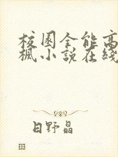 校园全能高手季枫小说在线听
