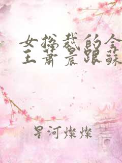 女总裁的全能兵王萧晨跟苏晴