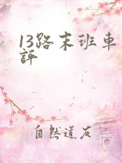 13路末班车书评