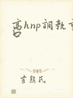 高hnp调教重口