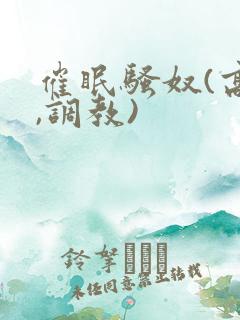 催眠骚奴(高h,调教)