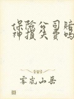 保险公司赔付精神损失费吗