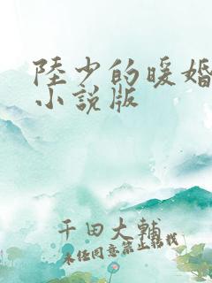陆少的暖婚新妻小说版