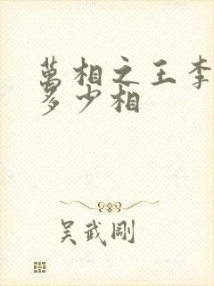 万相之王李洛有多少相