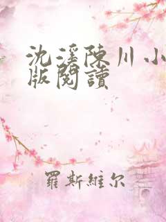 沈溪陈川小说正版阅读