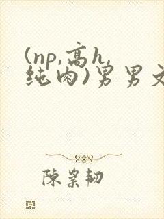 (np,高h,纯肉)男男文