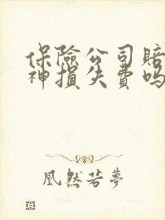 保险公司赔付精神损失费吗