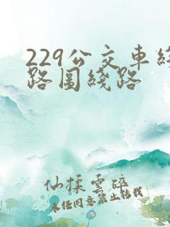 229公交车线路图线路