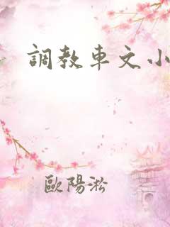 调教车文小说