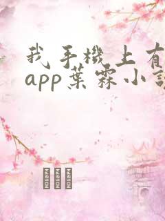 我手机上有禁忌app叶霖小说免费阅读