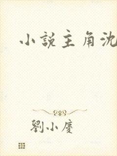 小说主角沈浪