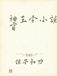 神王令小说无弹窗