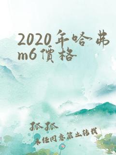 2020年哈弗m6价格