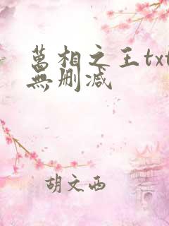 万相之王txt无删减
