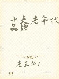 十大老年代步车品牌