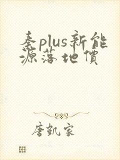 秦plus新能源落地价