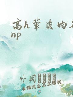 高h荤爽肉欲文np