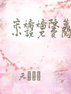 宋娇娇陈万里的小说免费阅读无弹窗