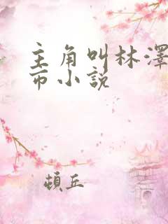 主角叫林泽的都市小说