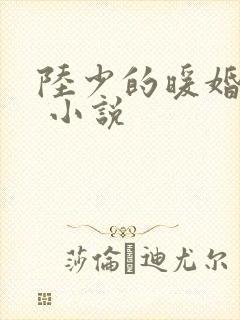 陆少的暖婚新妻 小说