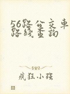 56路公交车站路线查询