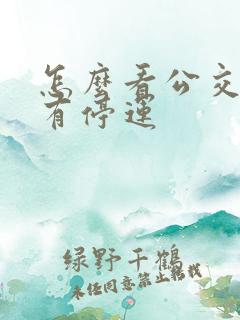 怎么看公交有没有停运 怎么看公交有没有停运