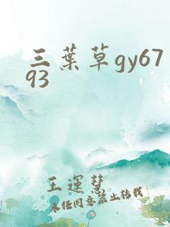 三叶草gy6793