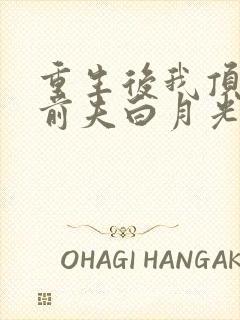 重生后我顶替了前夫白月光在线听电子书