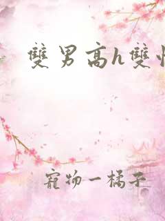 双男高h双性