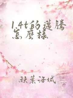 1.4t的迈腾怎么样