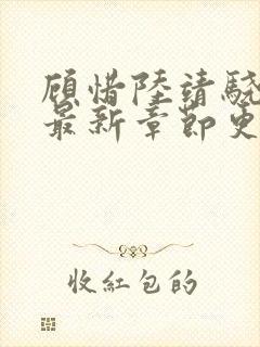 顾惜陆靖骁小说最新章节更新