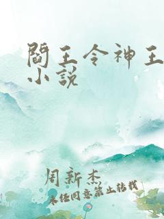 阎王令神王令的小说