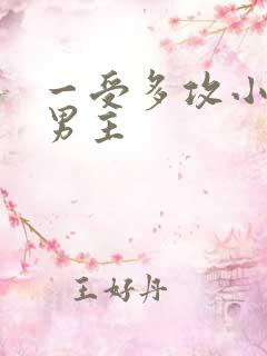 一受多攻小说双男主