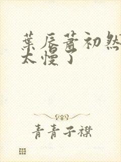 叶辰萧初然更新太慢了