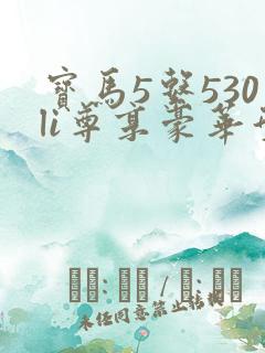 宝马5系530li尊享豪华型落地价