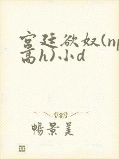 宫廷欲奴(np高h)小d
