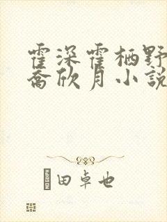 霍深霍栖野夏稚乔欣月小说完整