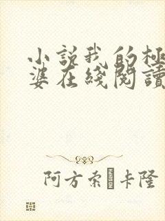 小说我的极品老婆在线阅读