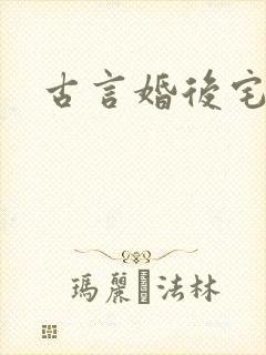 古言婚后宅斗文
