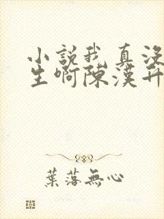 小说我真没想重生啊陈汉升全文阅读